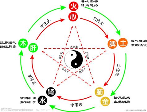 泽的五行|泽字的五行是什么,泽的五行属性及吉利寓意